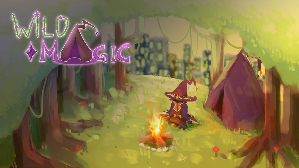 Wild Magic key art: a wizard by a campfire
